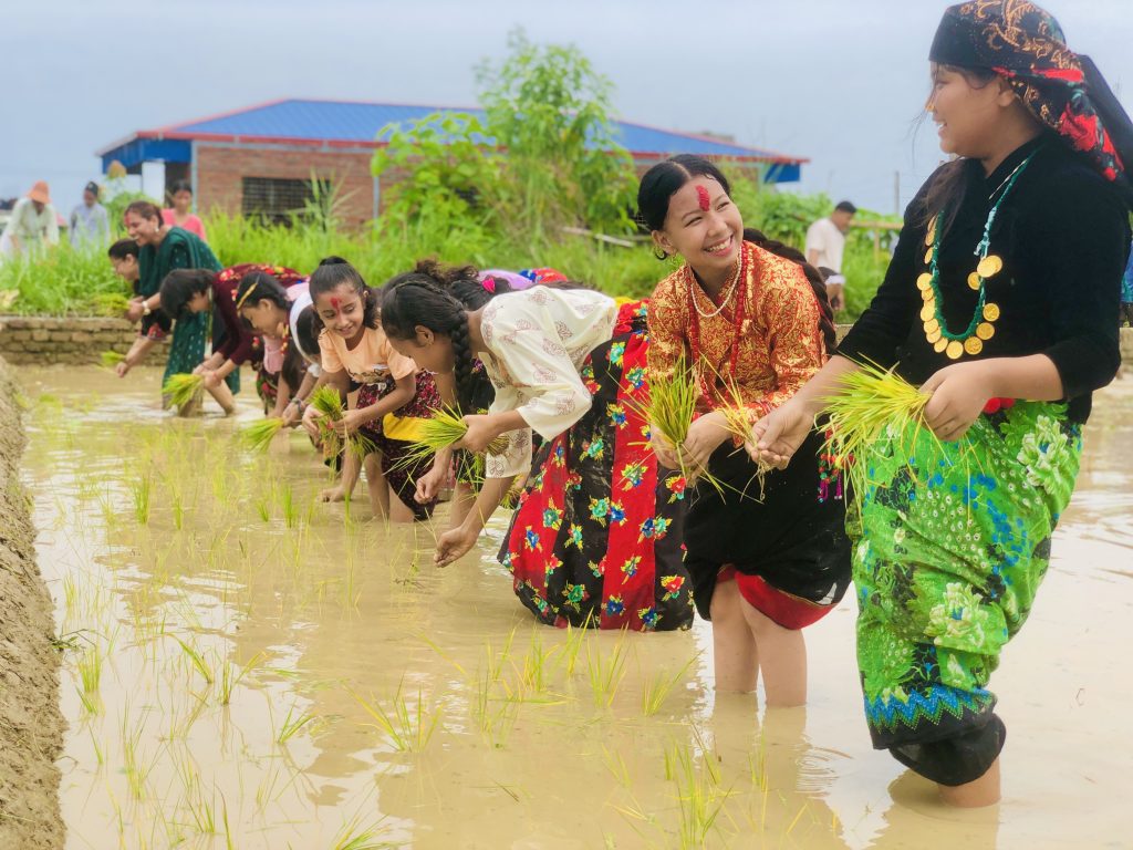एचिभर्स एकेडेमीले  मनायो धान दिवस